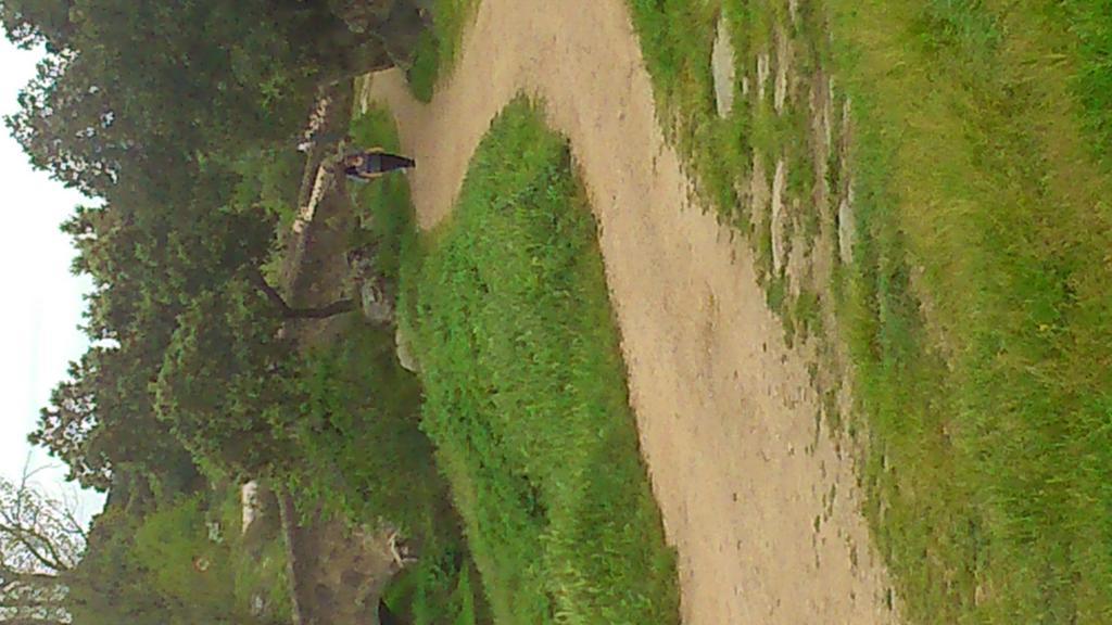 Burguillos Del Cerro Hostal El Camionero מראה חיצוני תמונה